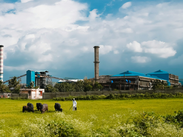 Fábrica num campo de relva e um homem a tomar conta do gado