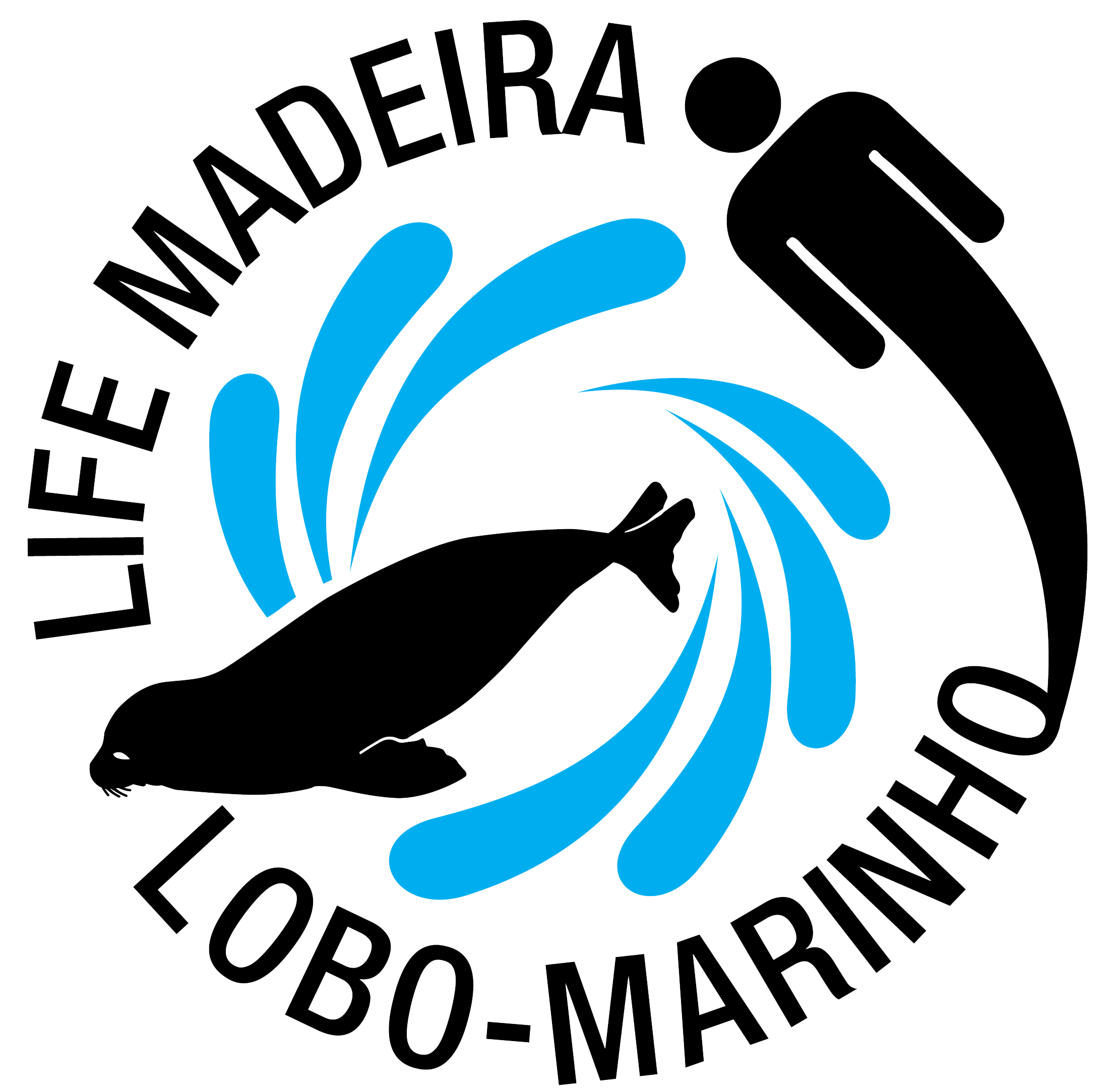 Conservação do lobo marinho na Madeira